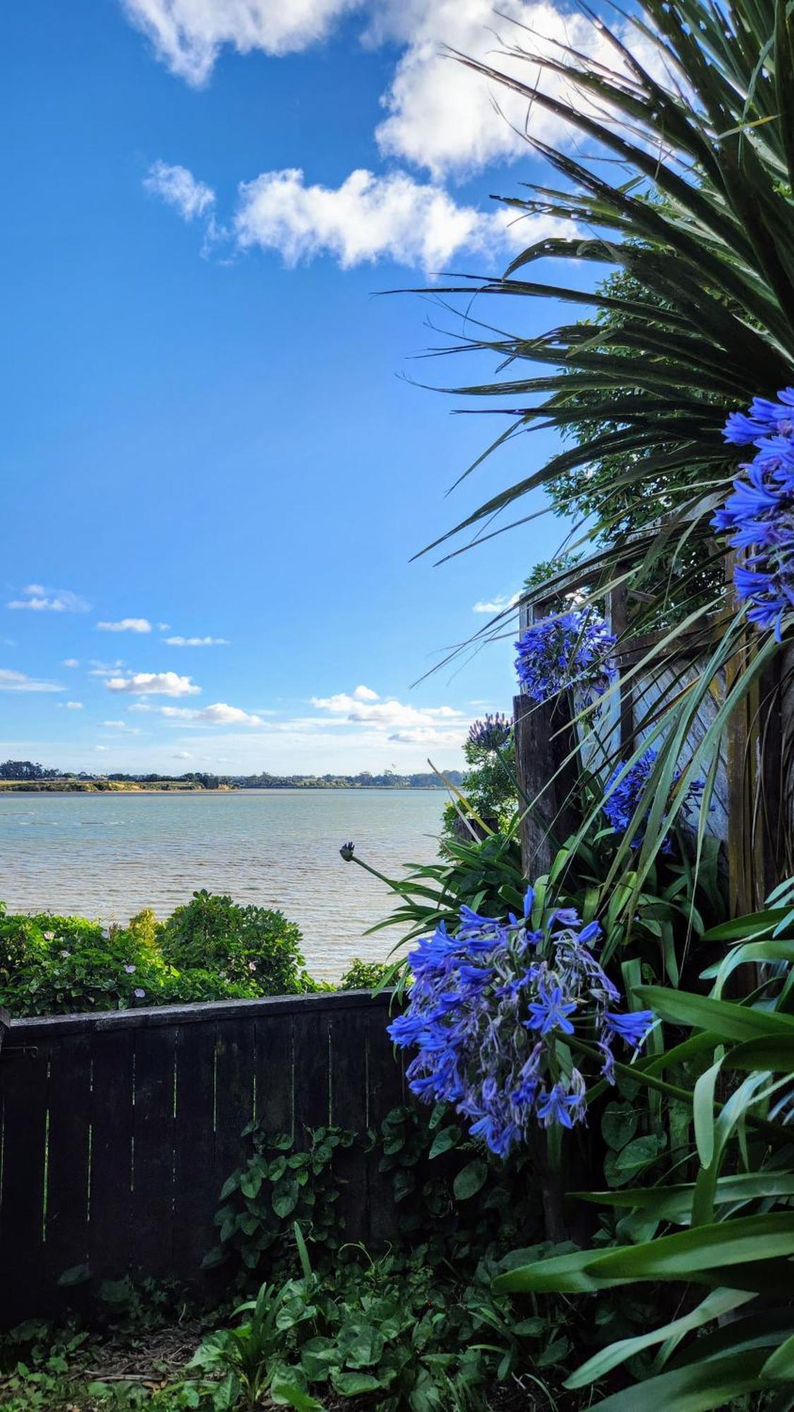 Private Guest Suite Near The Airport 1-4 Guests Auckland Eksteriør billede